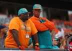 MIAMI GARDENS, FL - DECEMBER 29: Miami Dolphins fans looks on during a game against the New York Jets at Sun Life Stadium on December 29, 2013 in Miami Gardens, Florida. (Photo by Mike Ehrmann/Getty Images)